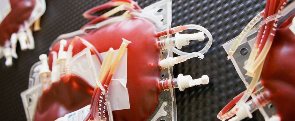 Ist Blutspenden gesund? Tipps für die gute Tat