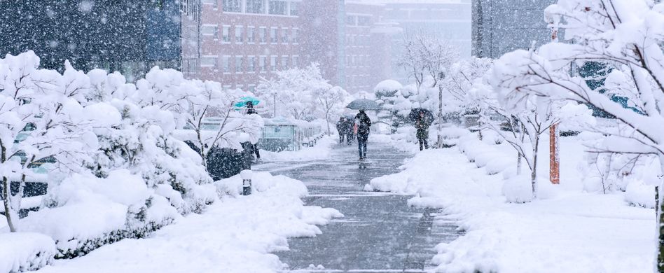 Ist das Streuen mit Streusalz verboten?