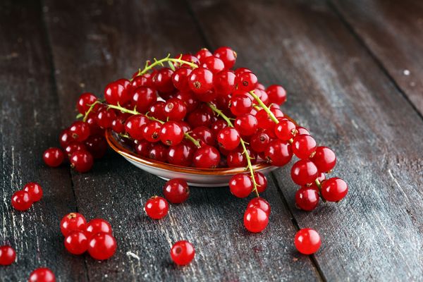 johannisbeeren-gesund-und-kalorienarm-bild-2