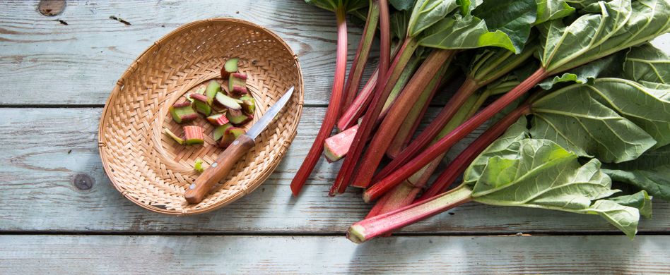 Kann man Rhabarber roh essen oder ist er gitftig?