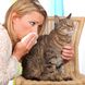 Katzenhaarallergie: 6 Tipps, um Beschwerden zu lindern
