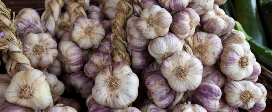 Knoblauch: Anwendung und Wirkung der Heilpflanze