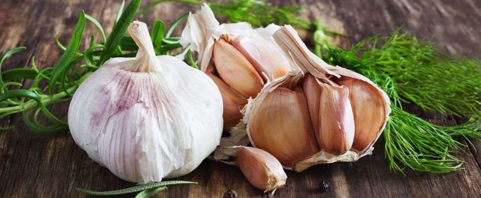 Knoblauch ernten, lagern und einlegen: Tipps zur gesunden Zwiebel
