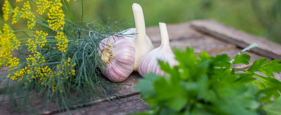 Knoblauchgeruch loswerden: 4 Tipps für frischen Atem