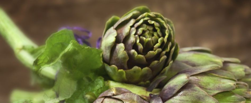 Körper entschlacken: Die fünf besten Lebensmittel