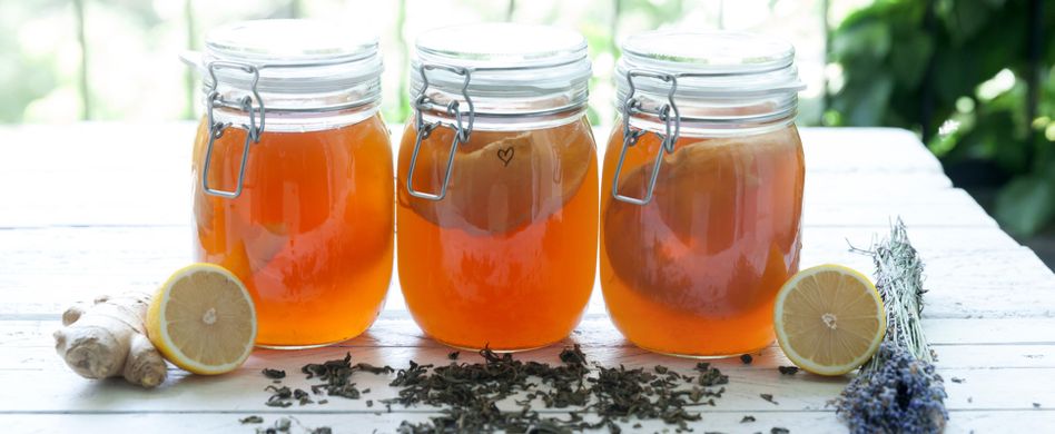 Kombucha selber machen: Kleiner Pilz mit großer Wirkung