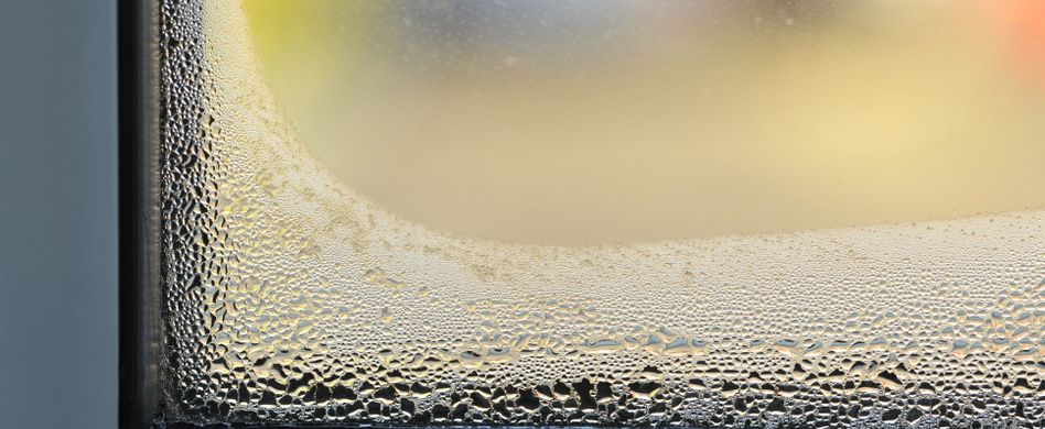 Kondenswasser am Fenster: Wie Sie schwitzendes Glas vermeiden