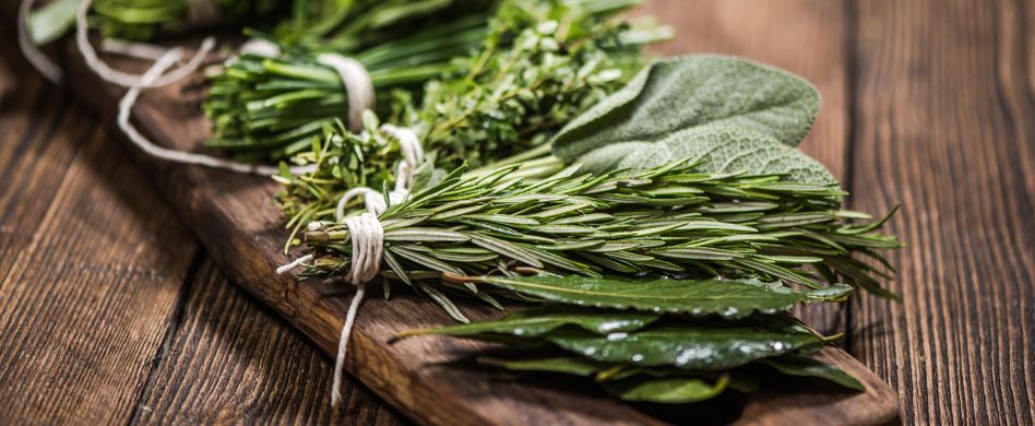 Kräuter trocknen im Backofen, an der Luft und Co.: Die besten Tipps