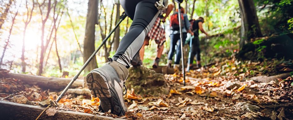 Krampfadern vorbeugen: Was tun gegen Varizen?