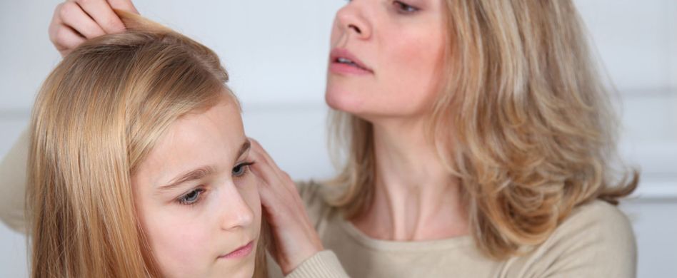 Läuse erkennen: Das kennzeichnet die Kopflaus