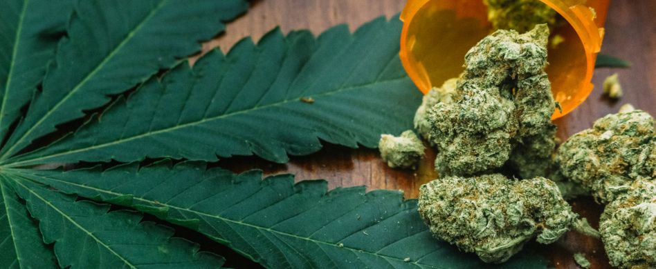 Langzeitfolgen von Cannabis