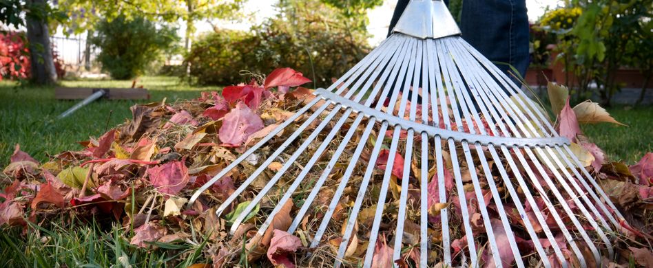 Laub entfernen: 4 Tipps gegen das Blättermeer im Herbst