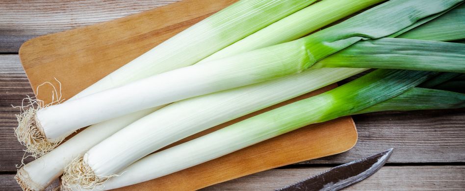 Lauch anbauen: Pflanzung, Pflege und Verwendung des Porrees