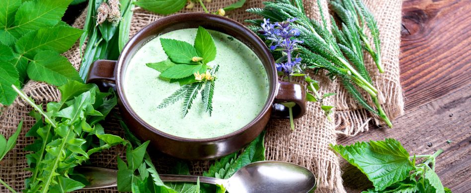 Leckeres Unkraut: 5-mal essbarer Wildwuchs aus dem Garten