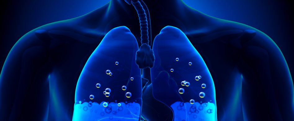 Darstellung Wasser in Lunge
