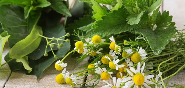 maeuse-vertreiben-7-tierfreundliche-hausmittel-bild-1