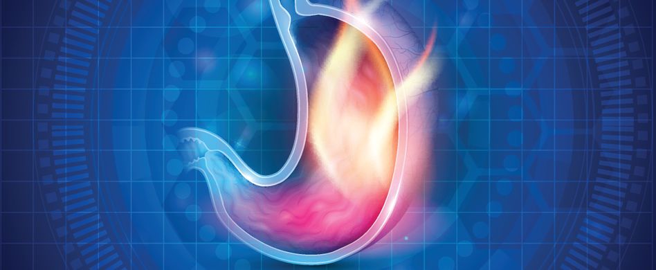 Magen: Aufbau und Funktion