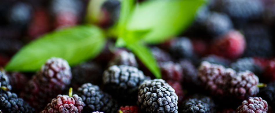Maulbeere - eine echte Superfrucht