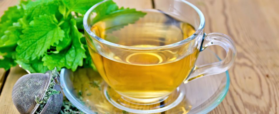 Melisse hilft gegen Herpes und andere Beschwerden