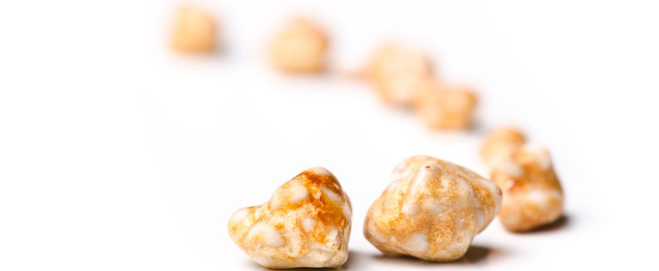 gallensteine auf weißem hintergrund