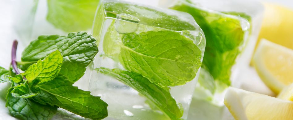 Minze einfrieren: So haben Sie sie immer frisch für Cocktails parat