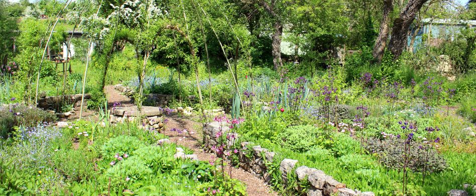 Mischkultur: So gedeiht das bunt gemischte Gemüsebeet