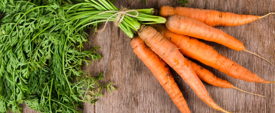 Möhre: Das natürliche Anti-Aging-Mittel