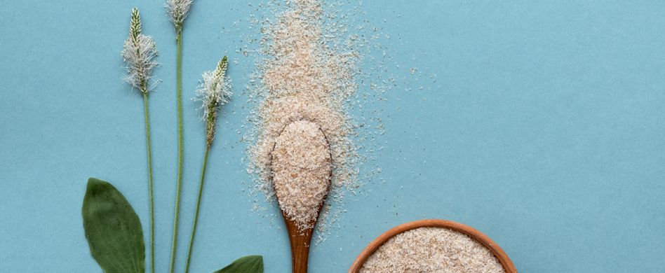 flohsamenschalen auf blauem hintergrund