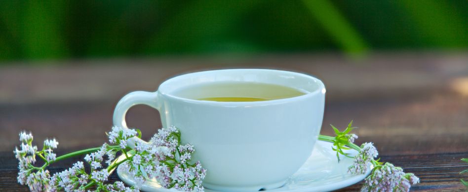 Natürliche Schlafmittel: Heilpflanzen gegen Schlafstörungen