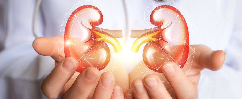 Nebenniereninsuffizienz: Symptome, Ursache und Therapie