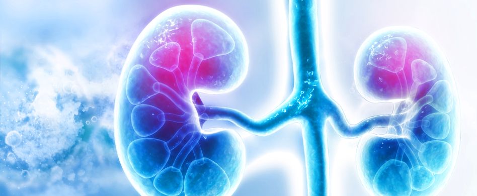Nierenkrebs: Ursachen, Risikofaktoren und Symptome