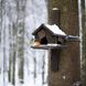 Nistkasten aufhängen: Ein kuscheliger Platz für Vögel