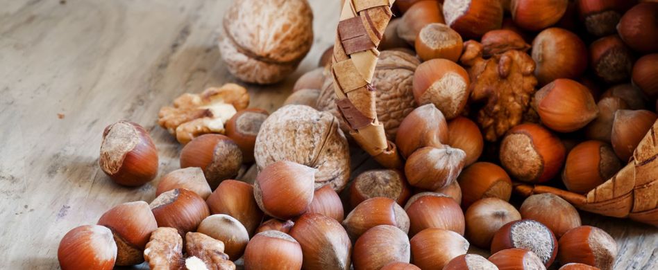 Oh du Knackige! Wissenswertes zur Nusssaison