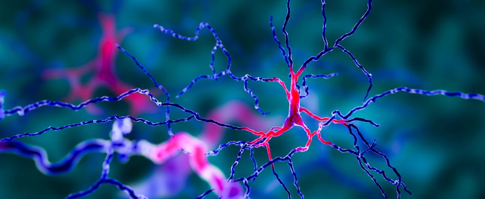 Parkinson - die frühen Anzeichen erkennen