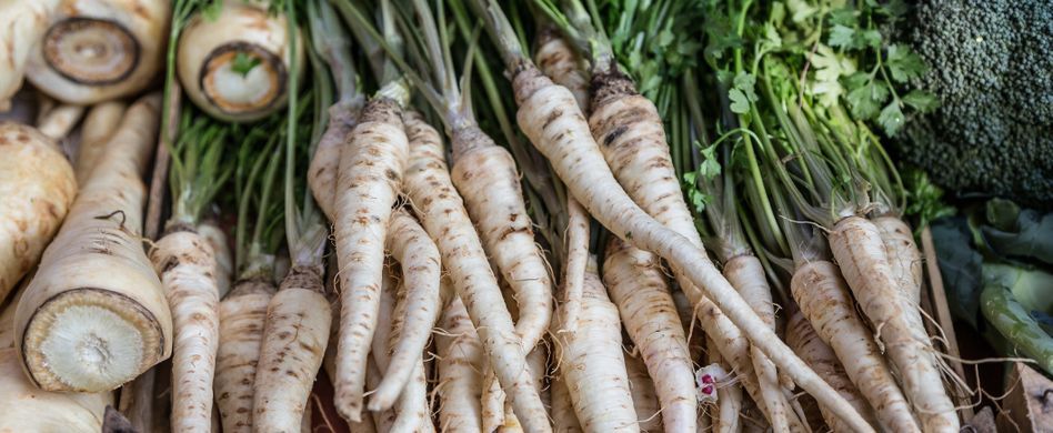 Pastinake: Alles zur gesunden Rübe