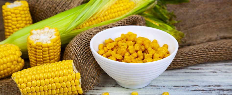 Pellagra: Geschichte, Symptome und Verlauf der Vitamin-B3-Mangelkrankheit