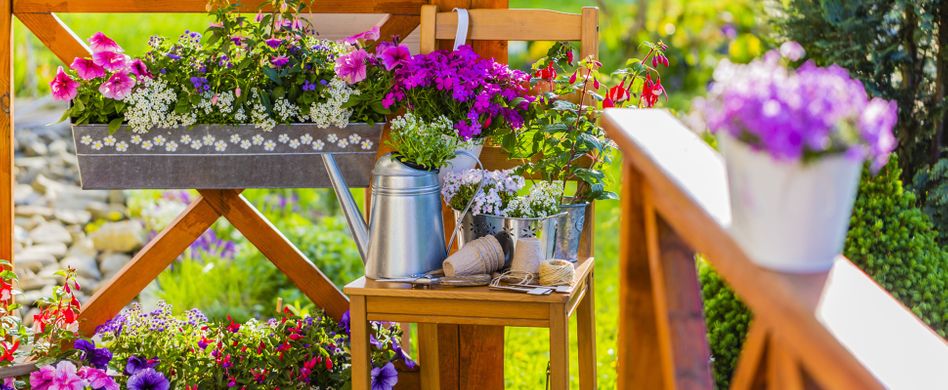 Pflanzen für den Südbalkon: Diese Gewächse mögen es sonnig