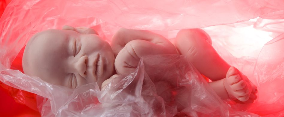 Plazenta essen: Ekliger Trend oder gesunde Nahrungsergänzung?