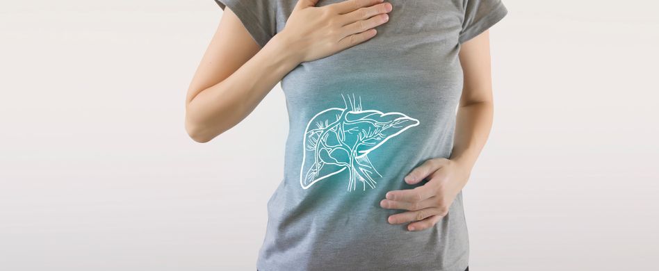 blauanatomie von leber mensch der sich an den bauch fasst