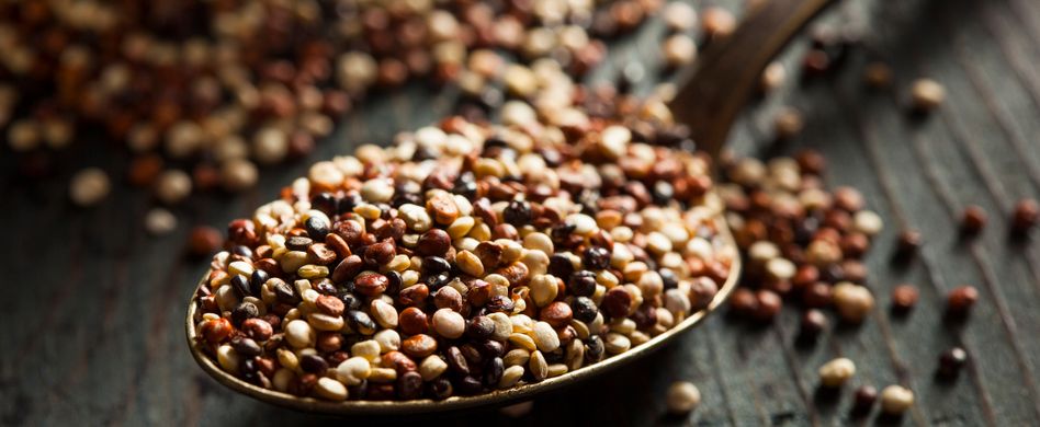 Quinoa