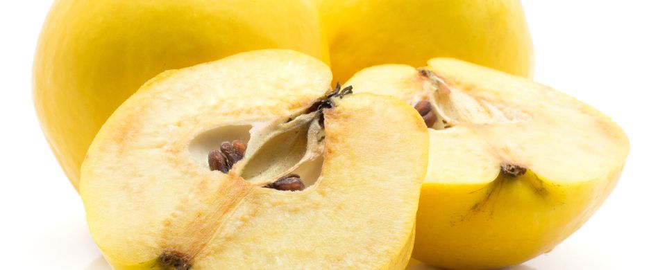 Quittenernte - Das sollten sie über die Ernte der Quitten wissen