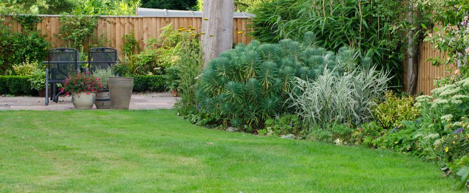 Rasen im heimischen Garten: Fragen und Antworten