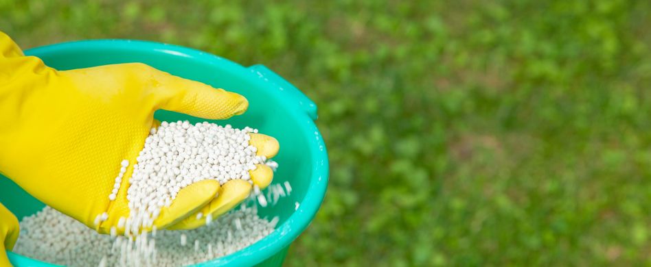 Rasen richtig düngen: Viel hilft nicht zwangsläufig viel