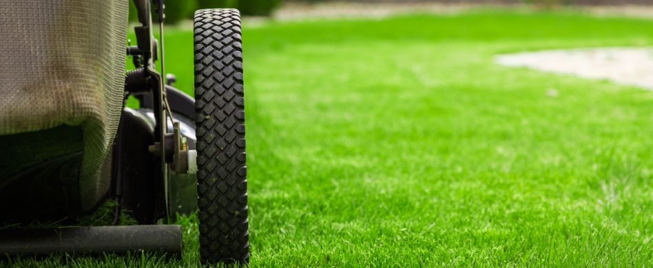 Rasen vertikutieren: Im März mit der Rasenpflege beginnen