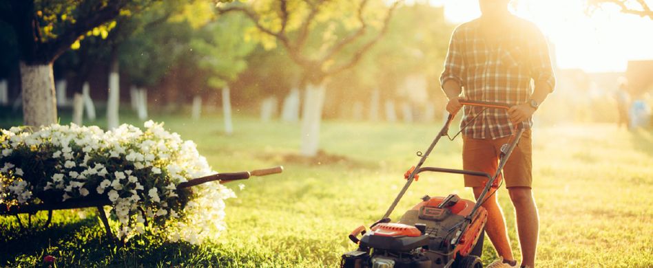 Rasen winterfest machen: So geht es in 5 Schritten