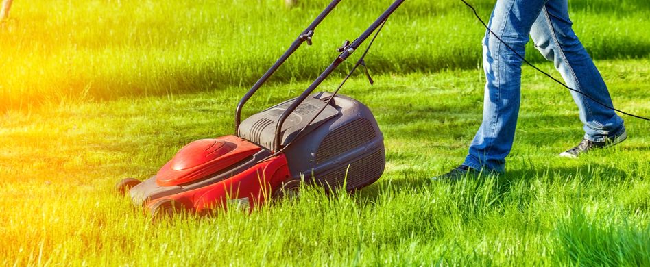 Rasenmähen: 6 Schritte zu einem perfekten Ergebnis