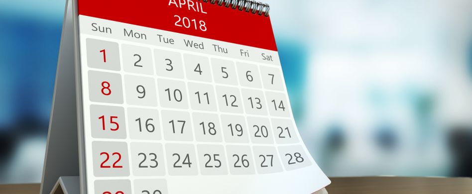 Rasenpflege: So helfen Sie Ihrem Rasen von Januar bis Dezember