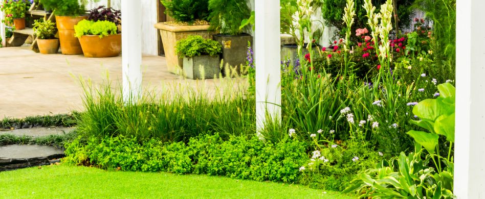 Rasenratgeber: Wege zu einem schönen Rasen im eigenen Garten