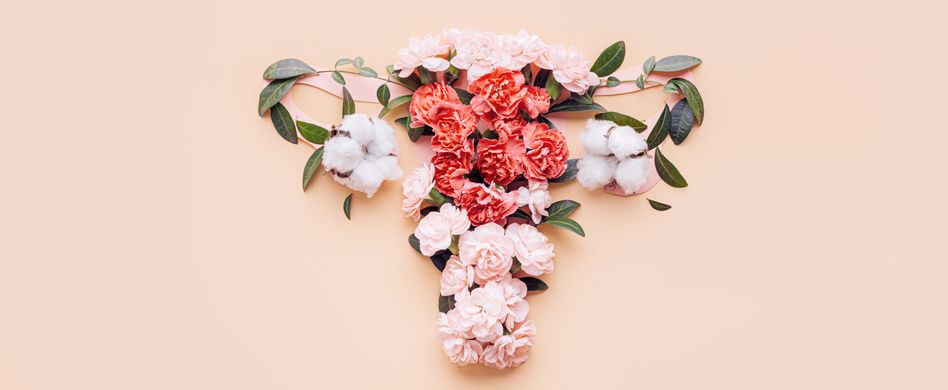 Ratgeber: Wechseljahre