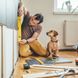 Richtig Renovieren: Wann muss ein Mieter seine Wohnung renovieren?